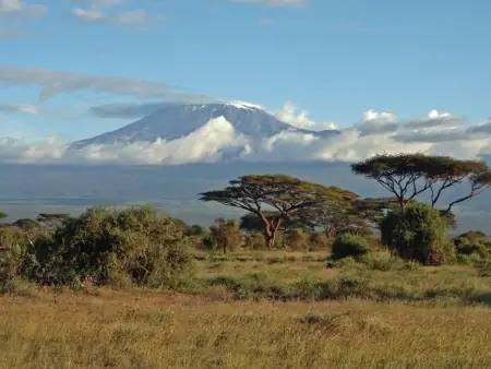 Arrivée à Amboseli ou les troupeaux paissant devant le Kilimandjaro