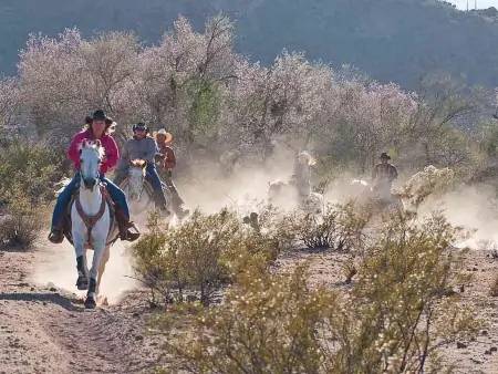 Expérience en Ranch à l’ombre des Saguaros
