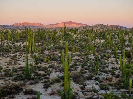 Loreto, entre cactus et montagnes rouges