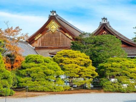 Kyoto l’impériale : visite guidée en français