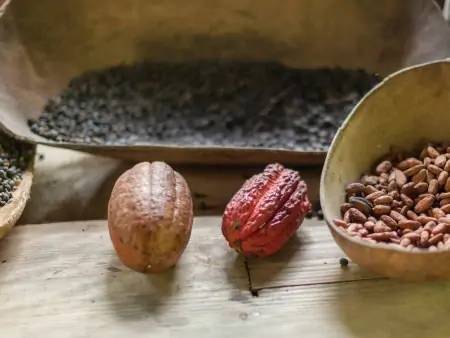 Cascade, Cacao & Cocotiers 