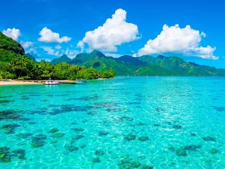 Tahiti, nature et traditions