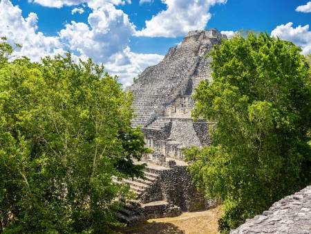 Calakmul, une cité maya secrète en pleine jungle